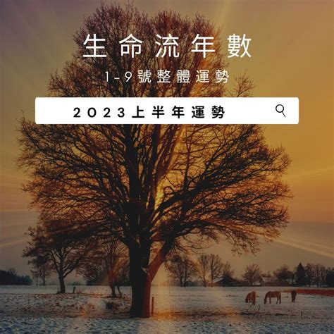 生命靈數流年|2023生命流年數看整體運勢，找到年度幸運方向（含。